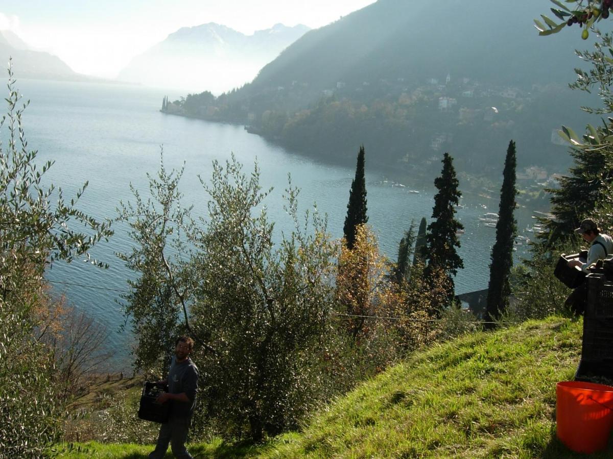 Casa Indipendente "Il Sole Delle Grigne" Villa Bellagio Exterior photo